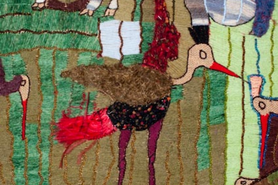 The Flourishing Landscape: Flora and Fauna