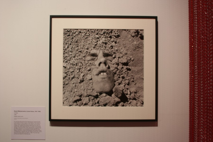 Untitled by David Wojnarowicz