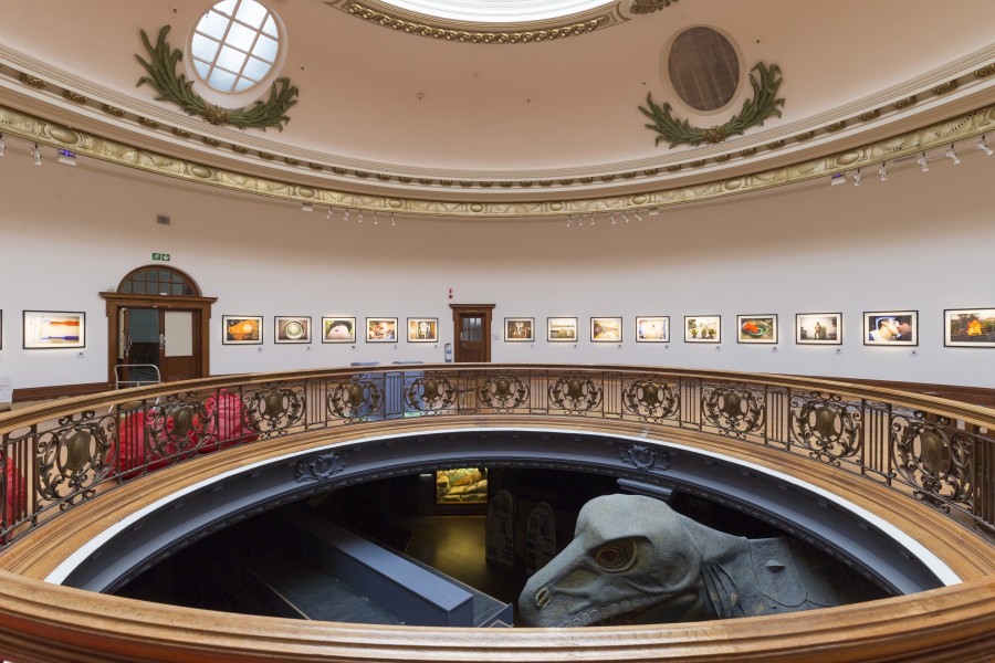 Photographs by Through Positive Eyes artivists in the circular gallery of the Edwardian-inspired Durban City Hall