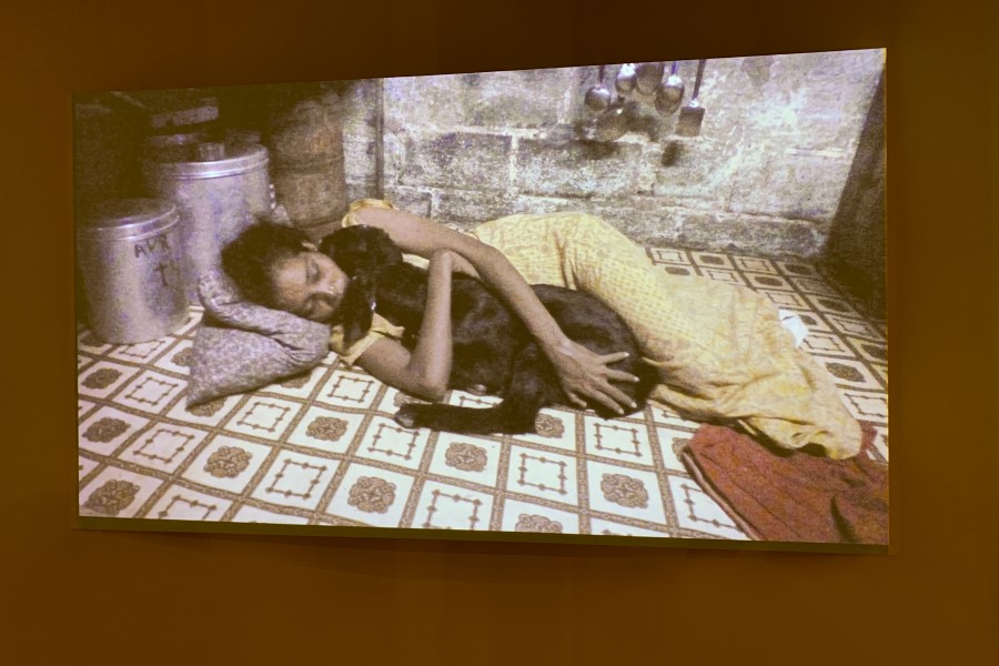 Video about Through Positive Eyes artivist Priya from Mumbai playing in the gallery